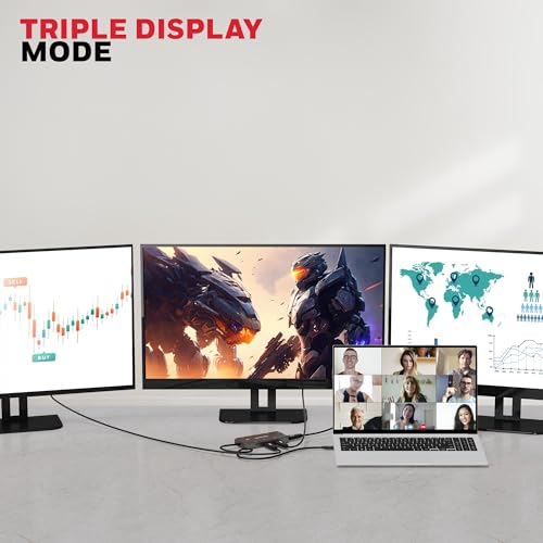 Honeywell Newly Launched 10-in-1 Type C Dock with Dual 4K HDMI, 1GBPS RJ45 Ethernet Port, 2xUSB 3.0, 1xUSB 2.0 & Type C 3.0 PD100W, VGA port, SD & MicroSD Slot, for All Type C Devices- Windows/MacBook - Image 5