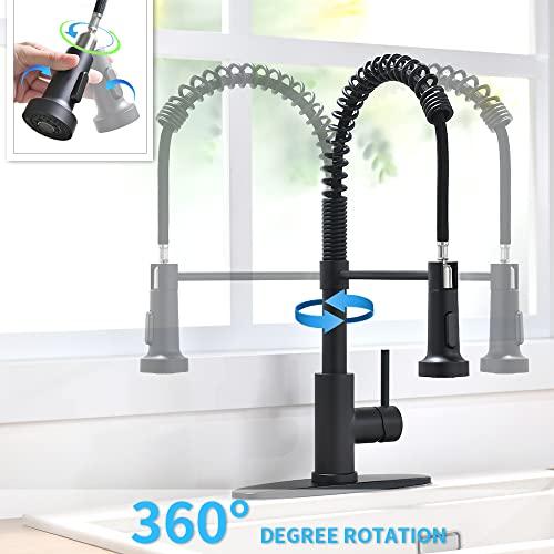image for OWOFAN Black Kitchen Faucet with Pull Down Sprayer 1 Handle Pull Out S