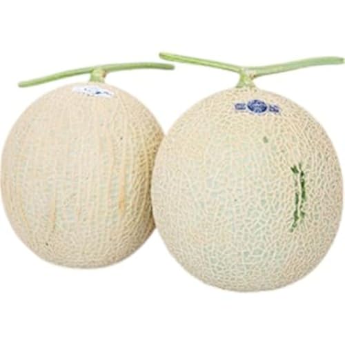 [訳あり] メロン 静岡 クラウンメロン 2玉 傷 不揃い 規格外 マスクメロン 静岡県 袋井市産 果実の王様 メロン 果物