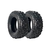 24X10-11 ATV All Terrain Tires, DAV106, 6 PR Heavy Duty Tubeless Off-Road Tires, for Mud Sand Snow, 2 Pack
