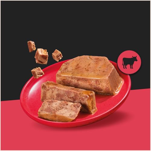 Cesar Klassik-Terrine Schale Adult 14 x 150 g reich an Rind mit Leber Stückchen in Pastete (14er-Packung)