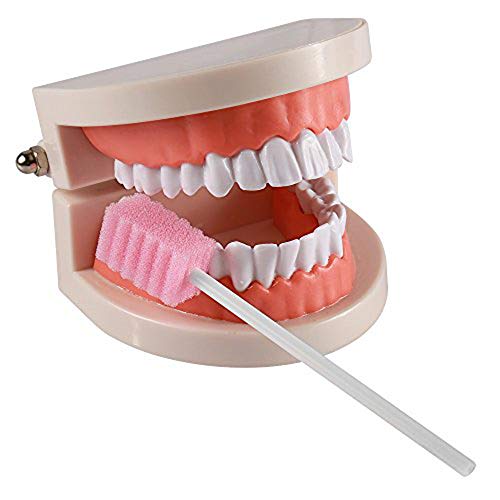 Disposable Oral Swabs, Sterile Dental Sponge Swabsticks Unflavored For Mouth & Gum Cleaning (250 Pack/Box) #TOP1