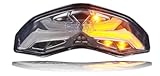 14-2021 FIT DUCATI MONSTER 1200 1200R 1200S Monster 797 (2017-2021) Monster 821 (2015-2021) Super Sport 939 /(S) (2017-2020) Super Sport 950 /(S) (2021-2024) LED TAILLIGHT TURNS SMOKE