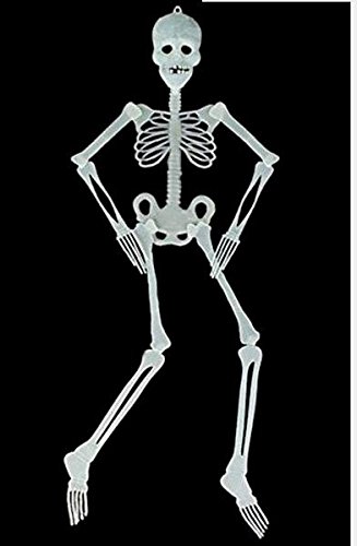 Animated イルミネーション　スケルトン　ドクロ　ガイコツ　激レア 光る ドクロ ＆ 骸骨の腕 セット ガイコツ 頭 飾り LED ◇RIM