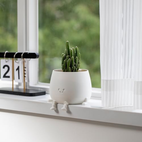 Image of TOPOLA Happy Face Planter, 5.2 Inches Plastic Plant Pot, Self Watering Plant Pot with Drainage Holes for Indoor Outdoor, Succulent Pot, Funny Flower Pot, White