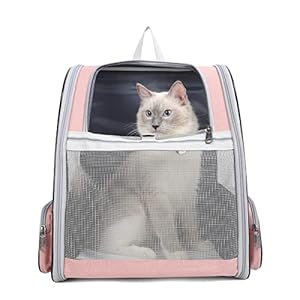 Tecageaon Pet Backpack Carrier for Small Cats Dogs Rabbit Ventilated Design, Safety Straps, Buckle Support, Collapsible, Designed for Travel, Hiking, Walking & Outdoor Use (Pink)