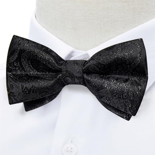 Set de pajarita clásica con diseño Paisley para hombre miniatura 4