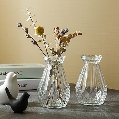 Image of Decorative Glass Vase for Flower Plants | Clear Glass vases for Home Decor | Glass vase for Living Room (Cylindrical)-Pack of 2