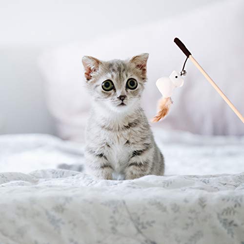 POPETPOP 5Pcs Cat Teaser Bacchetta Teaser Stick