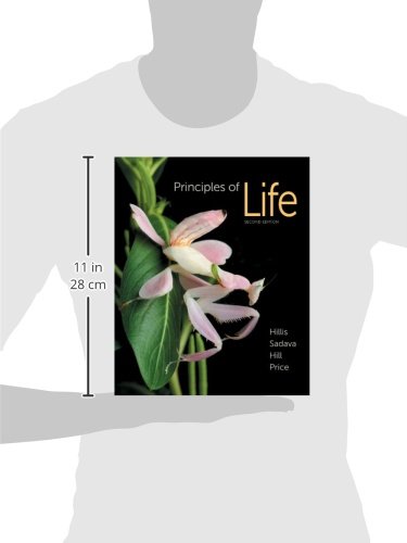 Principles of Life - Image 2