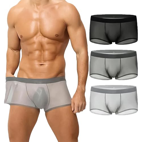 Niksy Underwear, Niksy Sheer Underwear for Men, Ultra-Thin Ice Silk Transparent Boxer Briefs, Breathable, Cool