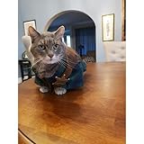 Zoom IMG-2 finduat distintivo sceriffo occidentale mentale Zoom IMG-2 finduat distintivo sceriffo occidentale mentale