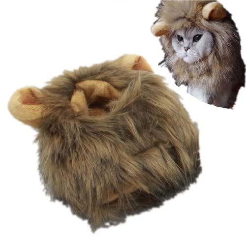 LpEBbO CI ybgp RXvLbv Ă RXvEBbO  Xq 