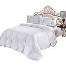 Amazon Com Eileen Fisher Seasonless Silk Comforter Throw Soft