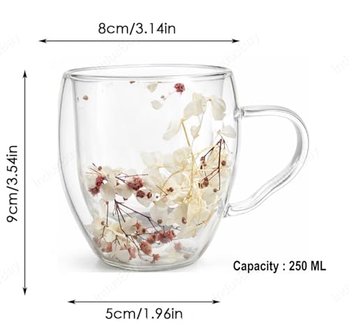 Image of IndusBay Double Wall Borosilicate Glass Mug with Faux Dried Flowers - Elegant Insulated Coffee /Tea Cup | Transparent Floral Design | 250ml | Ideal for Gifting, Home & Office, Boutique, 3 Pieces