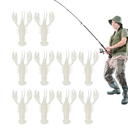 UKj A[ oXtBbVOp,Vv crayfish XCxCg | WƊCɑΉAȓƎRȍ̃\tgXCxCg AO[