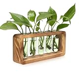 Glass Plant Propagation Station with 5 Test Tubes Colorful Planter Vase