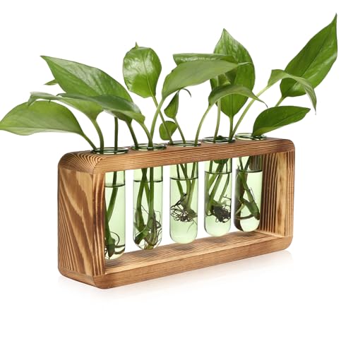 Glass Plant Propagation Station with 5 Test Tubes Colorful Planter Vase by YYHglass - Used condition - US$27.83