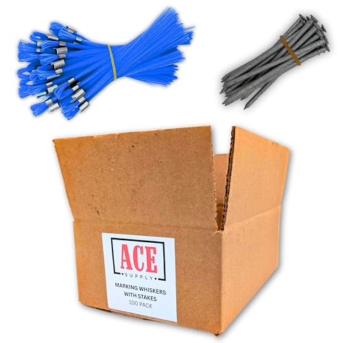 Moustaches d'arpentage et marqueurs de construction bleus | Lot de 100