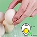 HILELIFE 40 Pack Clear Plastic Egg Cartons Bulk Holds Up to 12 Eggs - 1 Dozen, Reusable Egg Carton for Family Pasture Chicken Farm, Refrigerator Storage