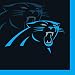 Creative Converting 16 Count Carolina Panthers Beverage Napkins