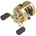 SHIMANO Calcutta 200GTB Round Baitcating Freshwater Reel