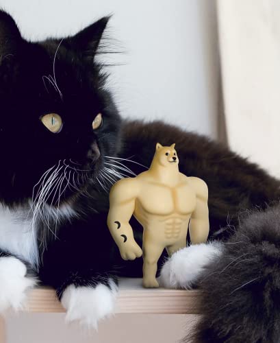 Youtooz Swole Doge Vinyl Figure, 5" Buff Doge Meme Figure - Youtooz Meme Collection Based On Famous Internet Memes #TOP4