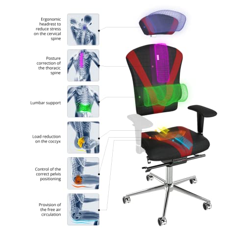 KULIK SYSTEM Ergonomische Bureaustoel - Comfortabele en Verstelbare Stoel met Rug Lendensteun en Wervelkolom Ondersteuningssysteem | Gepatenteerd Ontwerp| ROYAL Antara - Cobalt Design KULIK SYSTEM Ergonomische Bureaustoel - Comfortabele en Verstelbare Stoel met Rug Lendensteun en Wervelkolom Ondersteuningssysteem | Gepatenteerd Ontwerp| ROYAL Antara - Cobalt Design