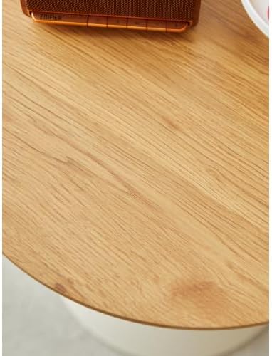 Kelligo Small Side Table, Metal Side Table Set of 2, Round Side Table, Coffee Tables for Narrow Areas, Small Tables for Living Rooms, Bedrooms, Cafeterias and Outdoors