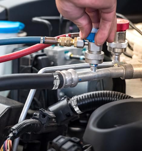 Bolatus Schlauchschellen 6-12mm, 12 Stk Schlauchklemme Edelstahl 304 Einstellbare Schraubschellen, Rohrschellen Sortiment für Poolschlauch, Benzinschlauch, Gartenschlauch