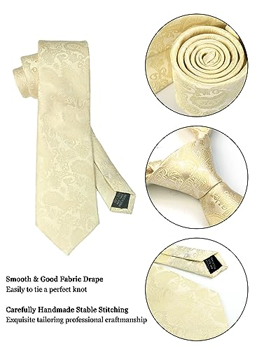 Image of Paisley Floral Mens Tie Formal Necktie Pocket Squares Ties Clips Cufflinks Classic for Men Set