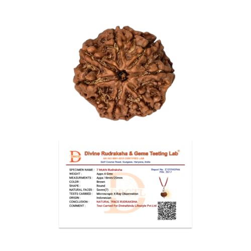 Image of Divine Hindu Original 7 Mukhi (Seven Face) Indonesia Rudraksha | Saat Mukhi Rudraksh Bead for Meditation, Protection & Spiritual Growth | Natural Rudraksha for Men & Women | Prayer Bead for Success
