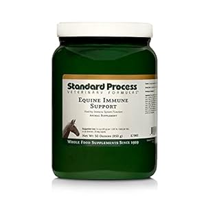 Standard Process Equine Immune Support – Dietary Supplement for Equine Immune Health – Immune System Support Supplement with Vitamin A & Whey Protein – Whole Food Horse Supplement – 850 g