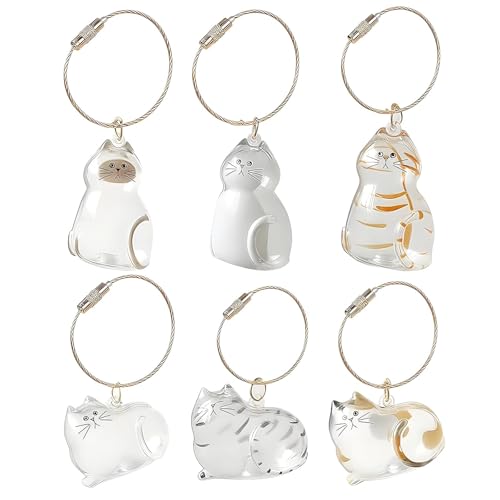 6 Stück Cat Hair Keychain, Transparenz Katzenanhänger, Schlüsselanhänger zum Befüllen Katzenhaare, Katzen Schlüsselanhänger Selber Machen Schlüsselringe Klein zum Aufsammeln von Katzenhaaren Diy