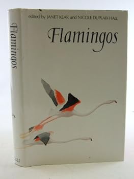 Flamingos