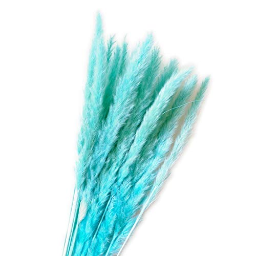 15 grama pampas secas, planta cana 61 cm flores reais românticas flores casamento, pampas naturais s