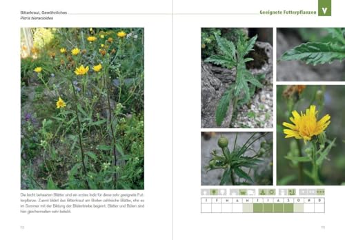 Der Schildkröten-Gärtner - Naturnahe Ernährung Europäischer Landschildkröten: Über 65 geeignete Futterpflanzen sowie Anleitungen, Tipps und Tricks zur ... zur Haltung Europäischer Landschildkröten)