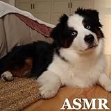 ASMRdB