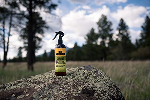 Dog Whisperer Tick + Flea Repellent, All-Natural, Extra Strength, Effective on Dogs and Their People 16 oz (2-Pack)