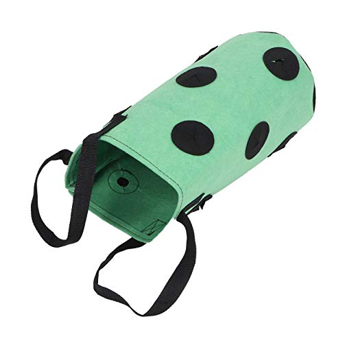 Cocoarm Sacco per Piantare Fragole, 3 Galloni, Materiale Robusto, Pratico e Veloce, Design Portatile, Facile da Usare e Riutilizzabile, Processo di Semina Semplificato, 12 Fori, Coltivazione (#11)