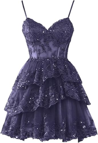 Homecoming Dresses for Teens 2025 Sparkly Tulle Lace Applique Tiered HOCO Dresses A-line Formal Short Prom Dress