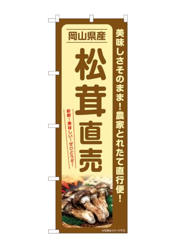 ̂ڂ艮H[(Noboriyakobo) SNB-7354  RY W600×H1800mm 1  OO |W  ɐ 󒍐Yi