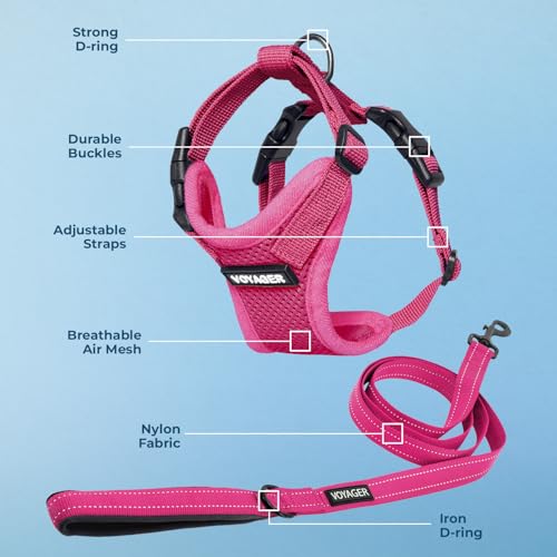 Image of Best Pet Supplies Voyager Step-in Lock Pet Harness w Reflective Pet Leash Combo Set with Neoprene Handle 5ft - Supports Small, Medium and Large Breed Puppies /Cats - Fuchsia Set, L