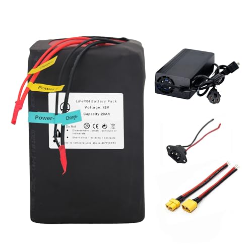 BtrPower 48V LiFePO4 Battery