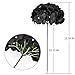Flojery Black Silk Hydrangea Heads Artificial Flowers Heads with Stems for Home Wedding Decor,Pack of 10(Black)