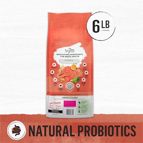 Purina Beyond Natural Wholesome Ingredients for Whole Health Dry Cat Food Salmon and Whole Brown Rice Recipe - 6 lb. Bag - Image 7