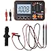 Digital Insulation Tester 1000V with Continuity, Resistance & Voltage Measurement, Handheld Electrical Safety Tester for Industrial Use, 250/500/1000V DC, Model VC60B+
