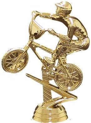 Crown Awards Biking Trophies with Custom Engraving, 6" Personalized BMX Bike Racing Trophy On Black Base Prime