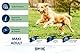 Happy Dog 60761 - Supreme fit & vital Maxi Adult - Hunde-Trockenfutter für große Hunde - 14 kg Inhalt