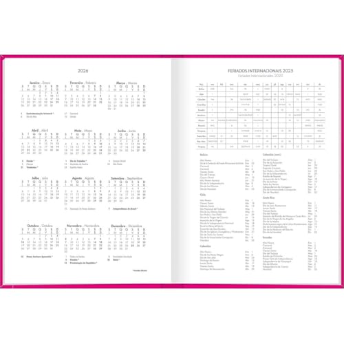 Agenda Costurada Diária 12,3 x 16,6 cm ROSA 2025